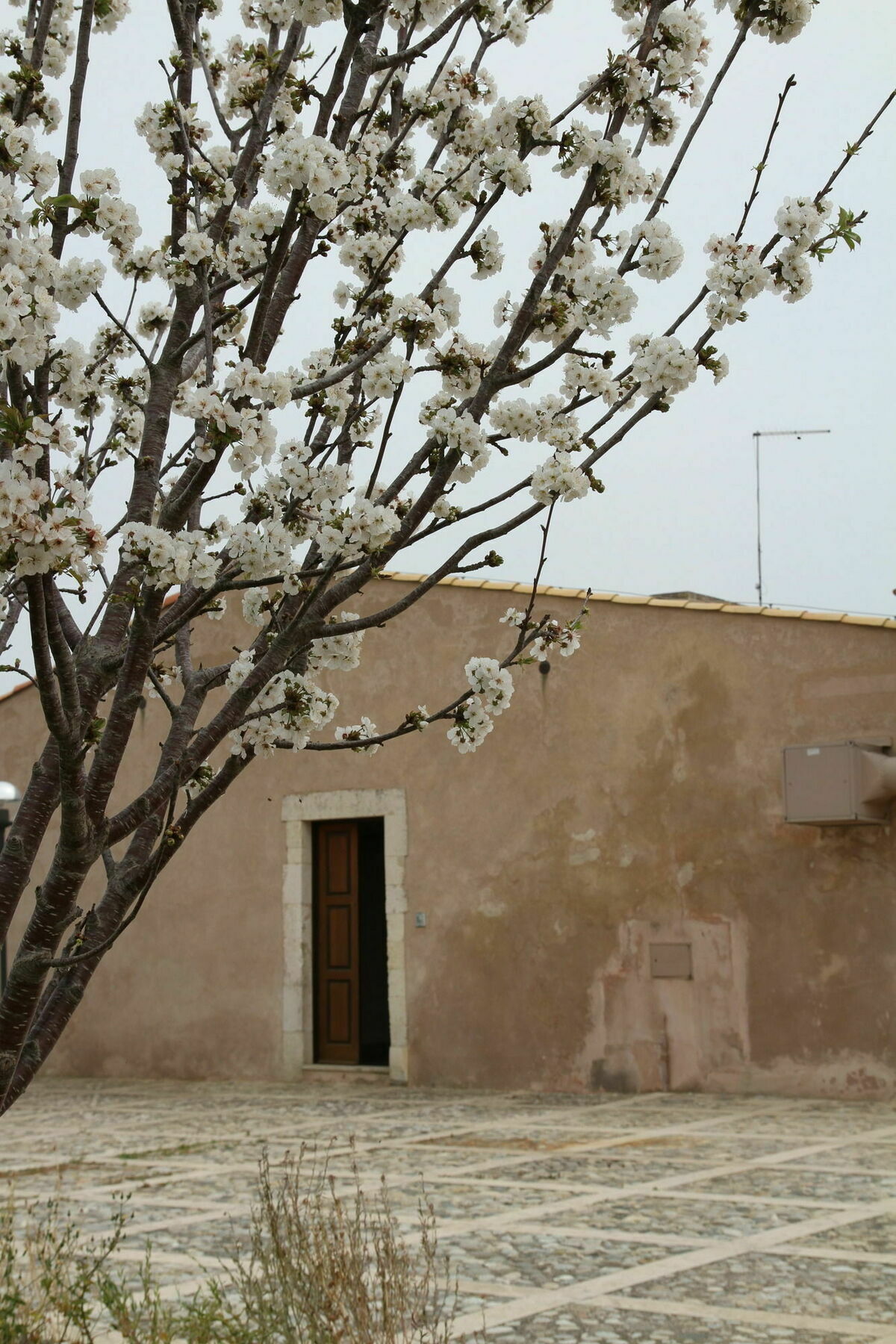 בית הארחה אבולה 	Eremo Madonna Delle Grazie מראה חיצוני תמונה